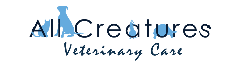 All best sale creatures veterinary